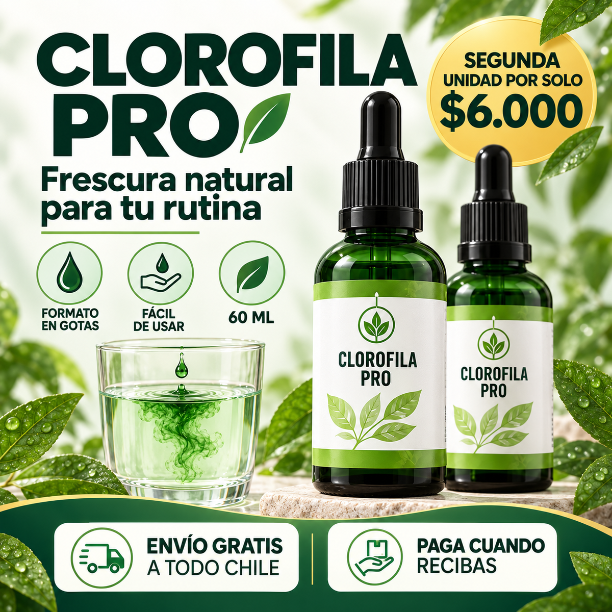 CLOROFILA PRO┃60ML